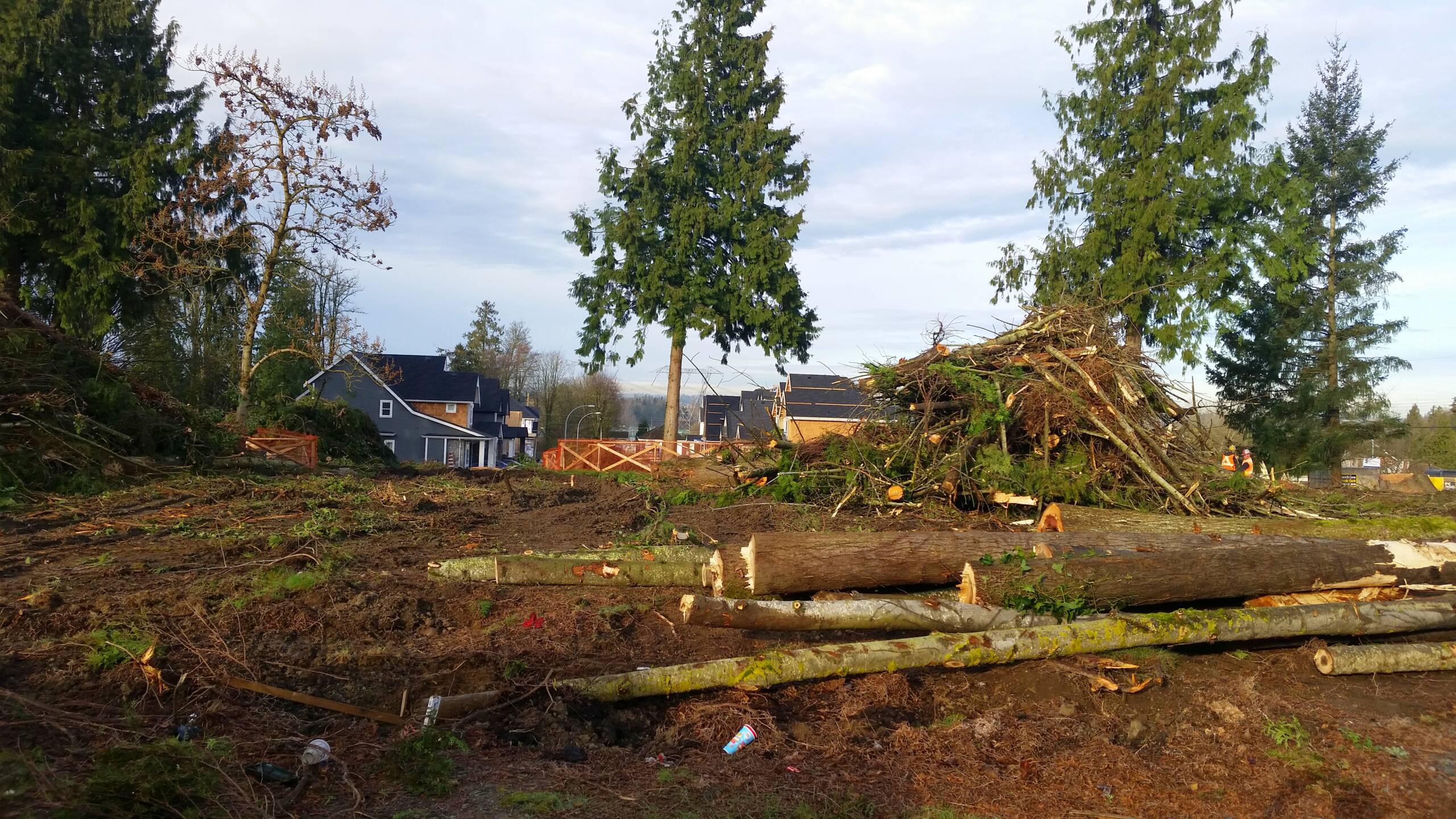 5 Acre Development Site